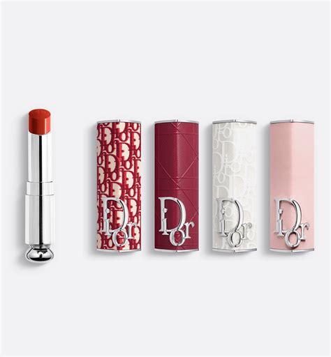 dior リップケース|【4/14新作発売】ディオール アディクト クチュール リップス .